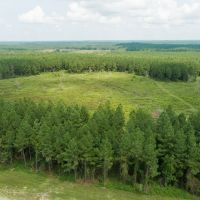 61 Acres T-7 Stryker Mill images 2