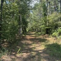 120 Acre Hunter s Paradise in South MS for Sale images 3