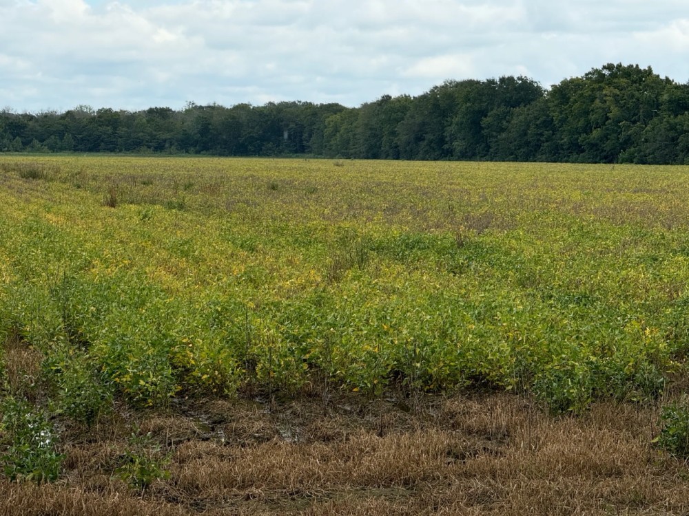 LA - Caldwell 43 acres - featured image