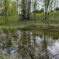 5 acre Wooded Building Lot with Pond in Bradford NY Goundry Hill Rd near Goundry Hill State Forest images 2