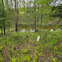 5 acre Wooded Building Lot with Pond in Bradford NY Goundry Hill Rd near Goundry Hill State Forest images 3