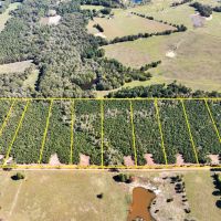34 Acres CR 3121 T-3 through T-8 images 4