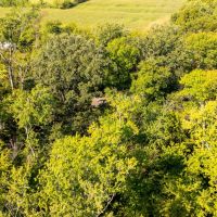Cabin nestled in a secludedsetting on 4.04 acres surrounded by trees images 3