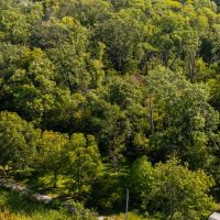 Cabin nestled in a secludedsetting on 4.04 acres surrounded by trees images 5