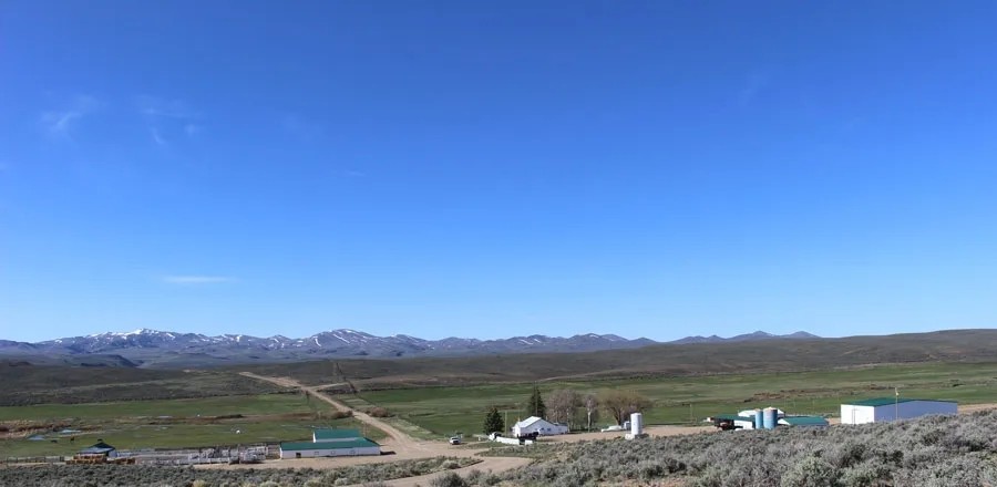 Bell Brand Ranch featured image