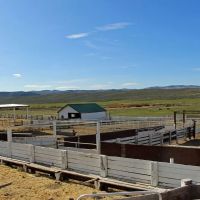 Bell Brand Ranch images 3