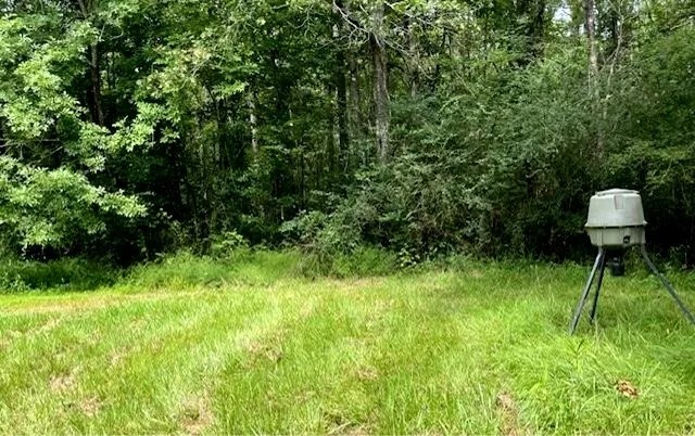 75 Acres in Scott County in Morton MS featured image