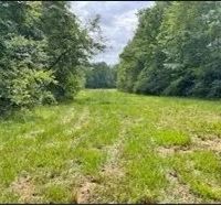 75 Acres in Scott County in Morton MS images 4