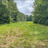 75 Acres in Scott County in Morton MS images 5