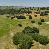 Green Ranch