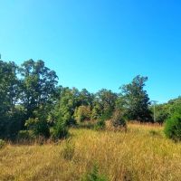 Business Potential or Recreational Retreat images 2
