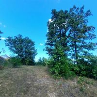 Business Potential or Recreational Retreat images 4