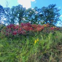 Business Potential or Recreational Retreat images 5