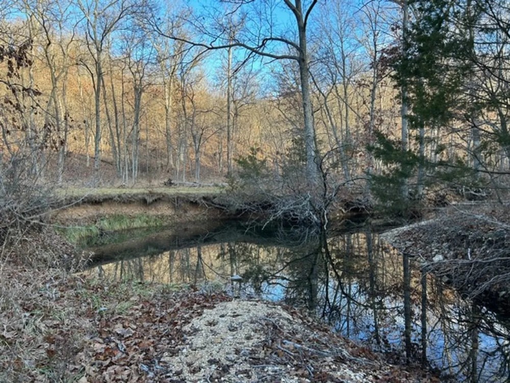 240 acre sanctuary not far from Lake of the Ozarks featured image