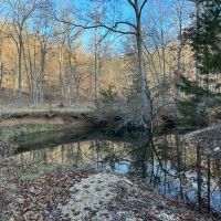 240 acre sanctuary not far from Lake of the Ozarks