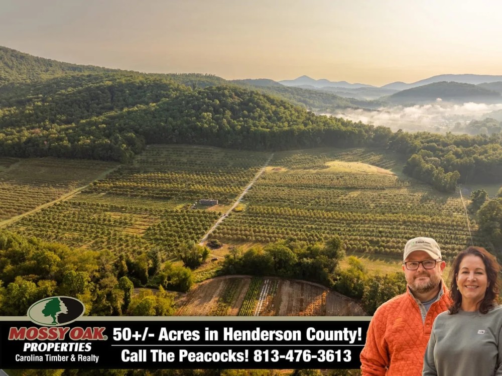 Gorgeous Apple Orchard in Hendersonville featured image
