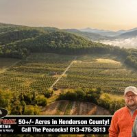 Gorgeous Apple Orchard in Hendersonville