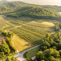 Gorgeous Apple Orchard in Hendersonville images 2