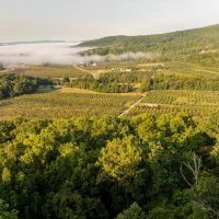 Gorgeous Apple Orchard in Hendersonville images 3