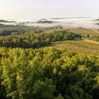 Gorgeous Apple Orchard in Hendersonville images 4