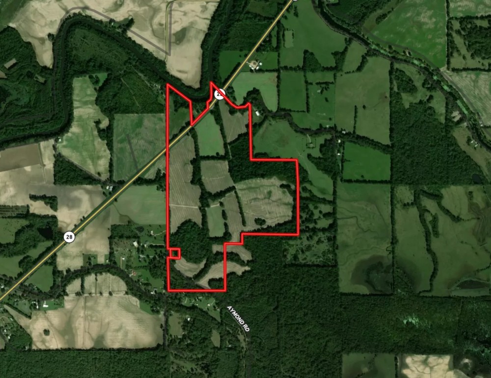 LA - Catahoula 238 acres - featured image