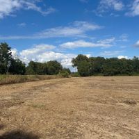LA - Catahoula 238 acres - images 2