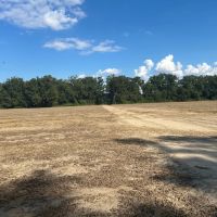 LA - Catahoula 238 acres - images 4