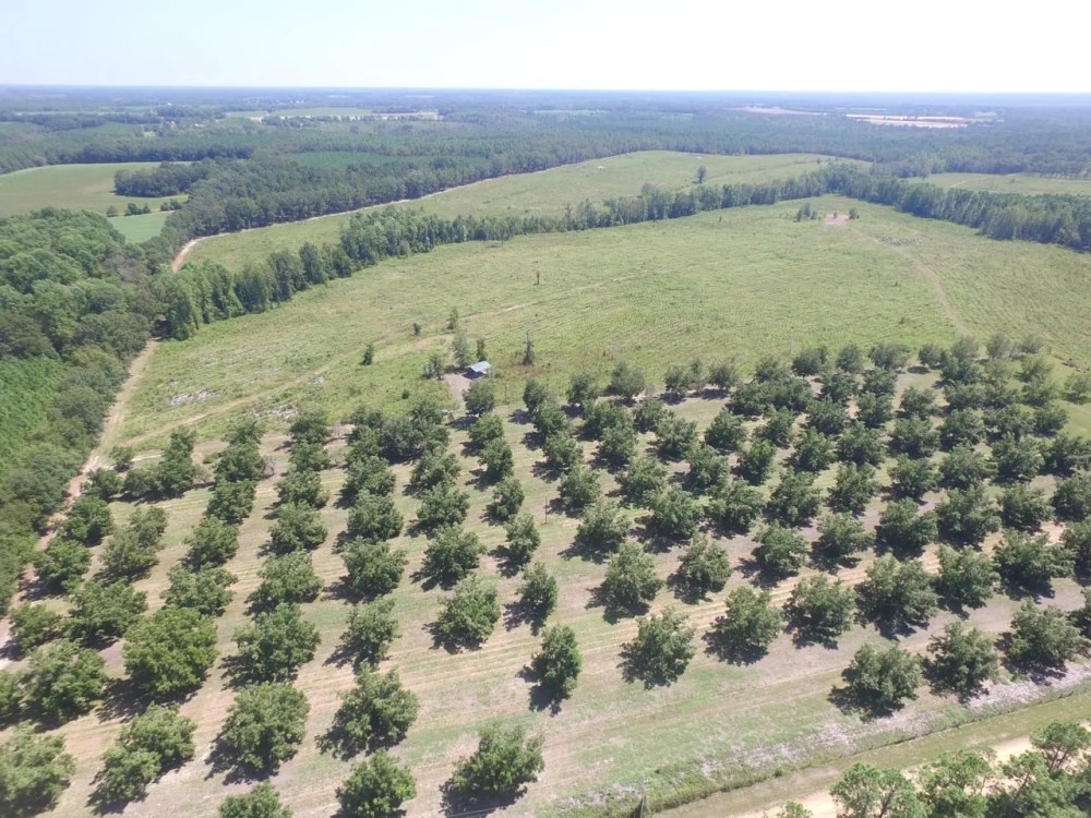 Toombs County Homesite with Timberland Hunting Land for Sale