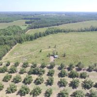 Toombs County Homesite with Timberland images 2