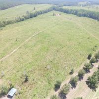 Toombs County Homesite with Timberland images 3