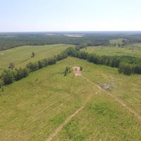 Toombs County Homesite with Timberland images 4
