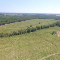 Toombs County Homesite with Timberland images 5