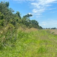 LA - Madison 212 acres - images 3