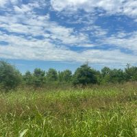 LA - Madison 212 acres - images 4