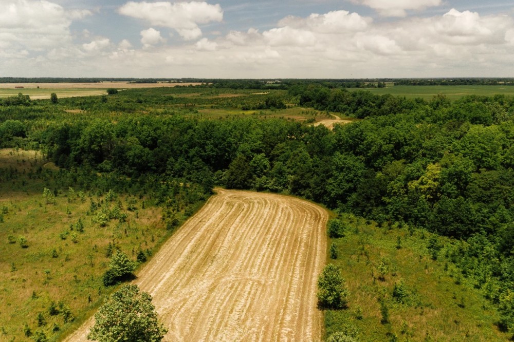 354 Acres in Coahoma County MS - Sessions Place featured image