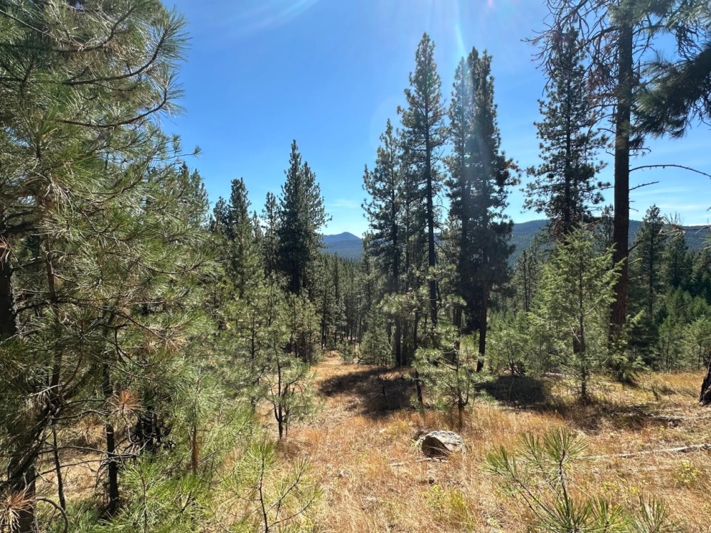 30 Acres in Sumpter OR - Your Perfect Retreat Awaits featured image