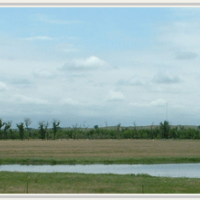 Spotted Tail 1,200 acres deer hunting land in Morrill, NE