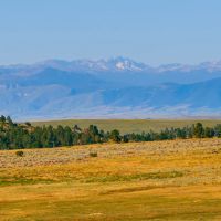 40 Acres Bordering 1600 Ac. Of BLM