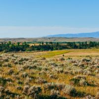 40 Acres Bordering 1600 Ac. Of BLM images 4