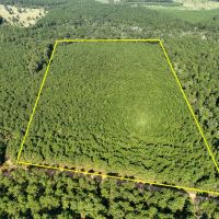 21 Acres Shady Grove Road CR 2175