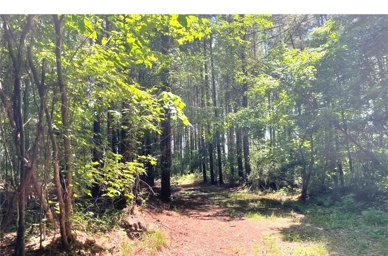 197.83 Acres in Yazoo County in Benton MS featured image