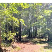 197.83 Acres in Yazoo County in Benton MS images 1