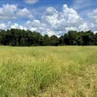 197.83 Acres in Yazoo County in Benton MS images 5