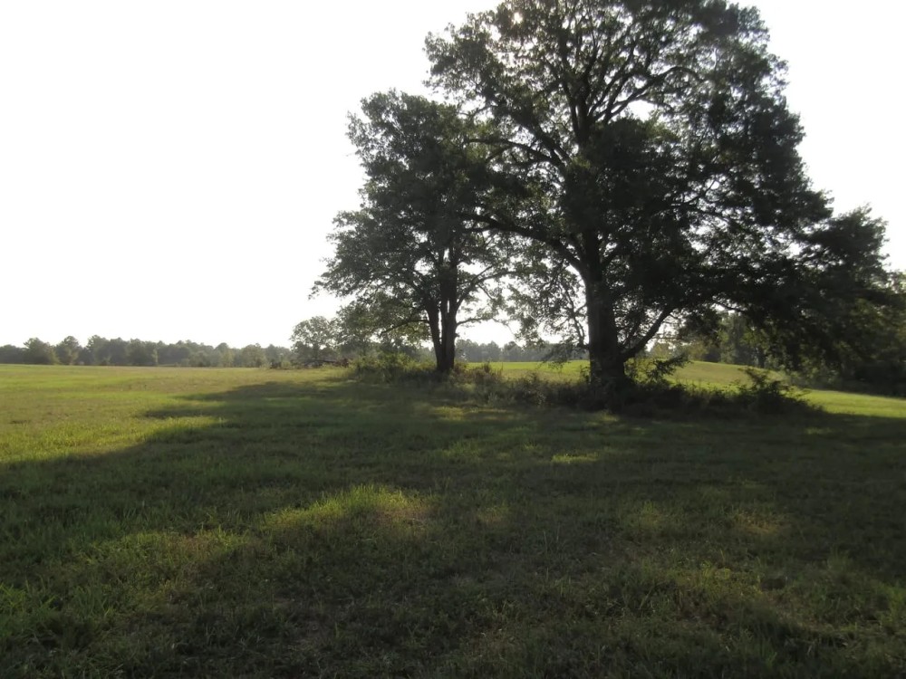 Prime Building Spot Recreational Hunting Choctaw County OK 79 AC74 featured image