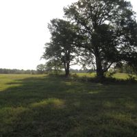Prime Building Spot Recreational Hunting Choctaw County OK 79 AC74