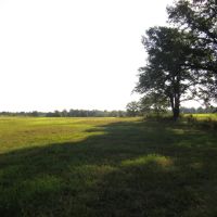 Prime Building Spot Recreational Hunting Choctaw County OK 79 AC74 images 2