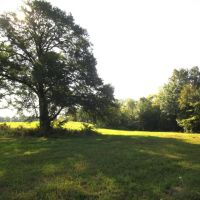 Prime Building Spot Recreational Hunting Choctaw County OK 79 AC74 images 4