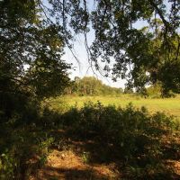 Prime Building Spot Recreational Hunting Choctaw County OK 79 AC74 images 5