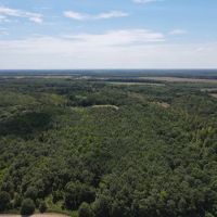 80 Acres in Quitman County MS