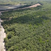 80 Acres in Quitman County MS images 2
